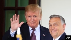 За словами Орбана, новообраний президент США сам йому зателефонував. Фото архівне 