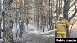 Қостанай облысындағы өрт. Сурет экология, геология және табиғи ресурстар министрлігінің баспасөз хатшысы Олжас Беркінбаевтың Фейсбук парақшасынан алынған.