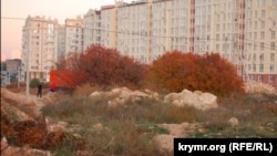 Строительство в фисташковой роще, Севастополь 2019 год