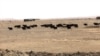 16x9 Image