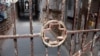 Image result for Арэшка