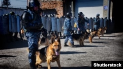 Ілюстративне фото