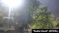 Arxiv foto 