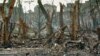 Russia -- devastated centre of Grozny January 4, 1995.