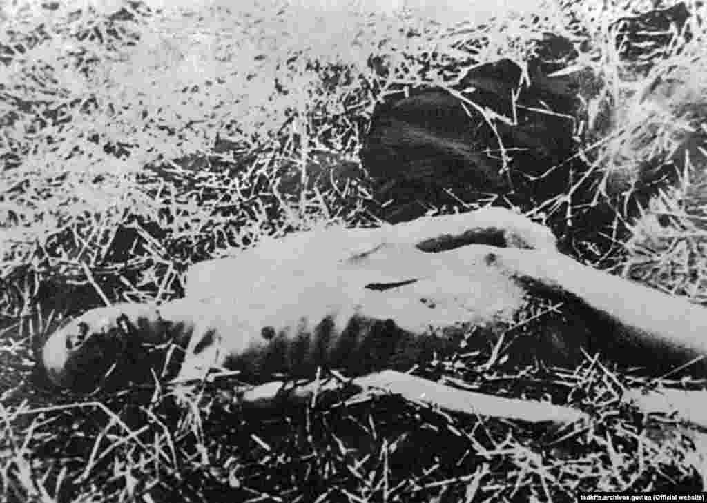  Жертва голоду. Місце і дата зйомки: УССР, 1932-1933 рр