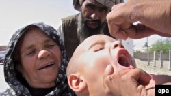 چمن کې یوه ماشوم ته د ګوزڼ څاڅکي ورکول کېږي