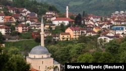 Foča, ilustrativna fotografija