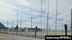 Погибшие пальмы на берегу бухты Капсель