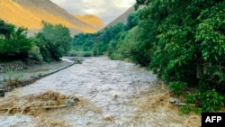 د سېلونو یو انځور