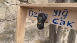 'Bizdə də Avropadakı kimi olsun' - Satdığı narla sosial mediada məşhurlaşan kəndli