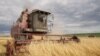 Belarus - Combine harvesters and people who work on them. Vetka district, 22Jul2020