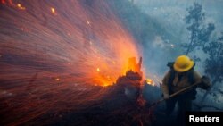 Вятърът развява жарава, докато пожарникар се бори с огъня по време на горските пожари в района на Лос Анджелис, Калифорния, САЩ. 9 януари 2025 г.