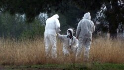 Građani Podgorice o sopstvenoj bezbjednosti