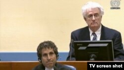 Radovan Karadžić u sudnici na statusnoj konferenciji, 6. travnja 2016.