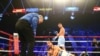 Олександр Гвоздик проти Наджиба Мохаммеді, 9 квітня 2016 року