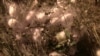 16x9 Image
