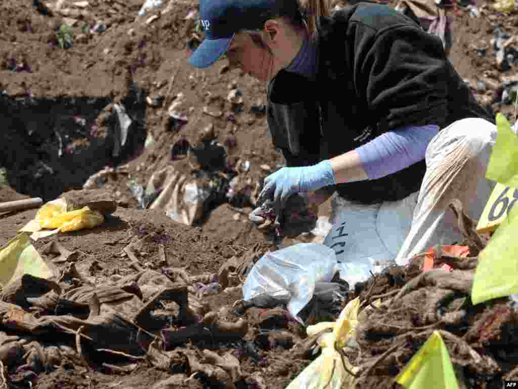 Bosanska forenzičarka Esma Aličehajić pregleda nađene ostatke tijela žrtava genocida, u masovnoj grobnici u Ivan Polju, nedaleko od Rogatice, 10.05.2011. Foto: AFP