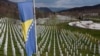 Dok se čeka glasanje: Šta treba znati o rezoluciji o genocidu u Srebrenici?