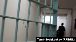 Illýustrasiýa suraty