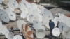 16x9 Image